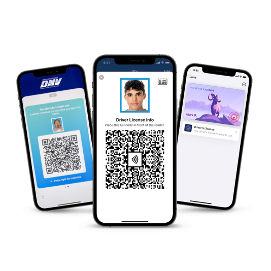 Existing digital IDs: state apps and Apple, Samsung and Google wallet IDs.