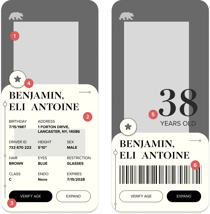 Two greyscale wireframes, numbered 1 to 6.